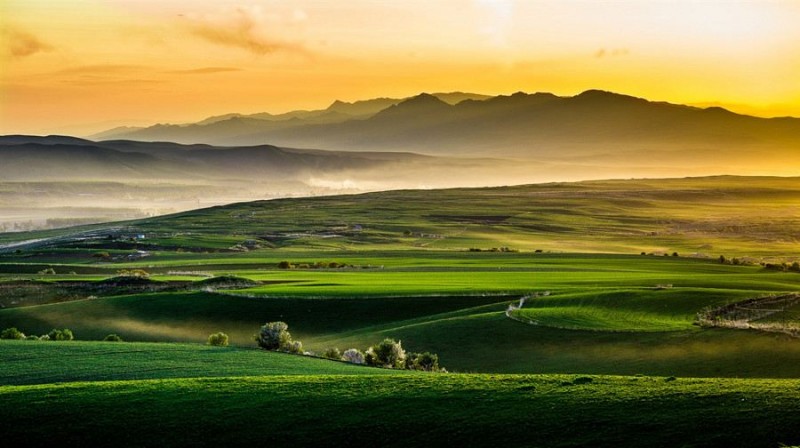 35081800000156fwk00BA_D_10000_1200