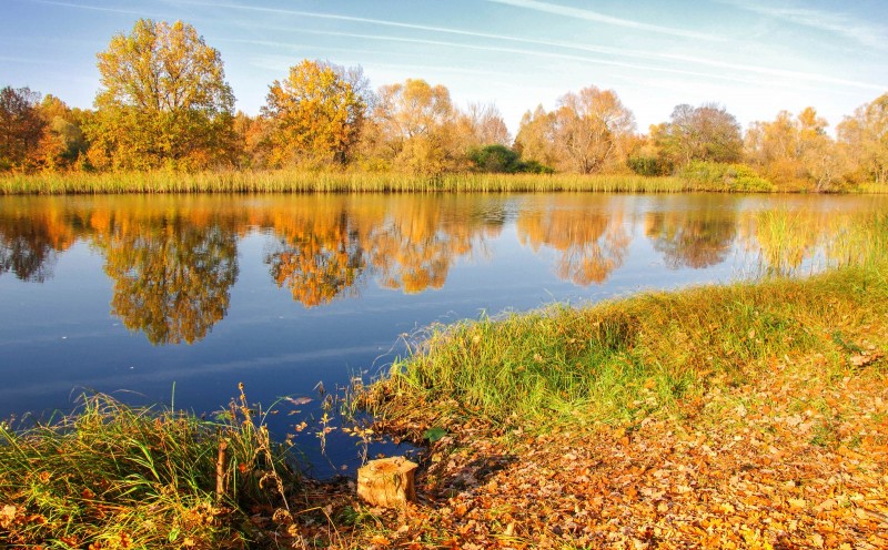 0104c120008a2ddps5ADF_R_1600_10000