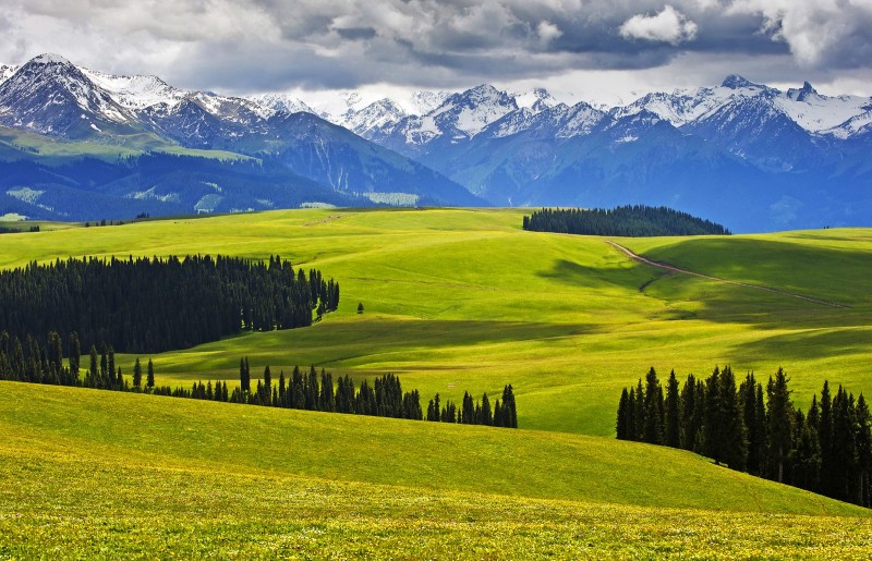 0102e120008a6v60y242A_R_1600_10000