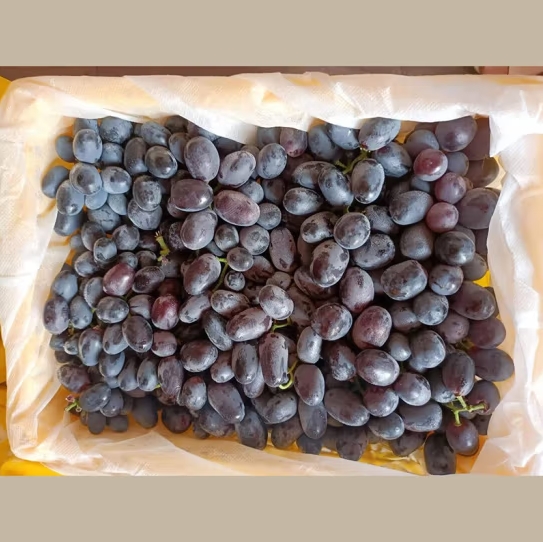 微信截图_20231114164239