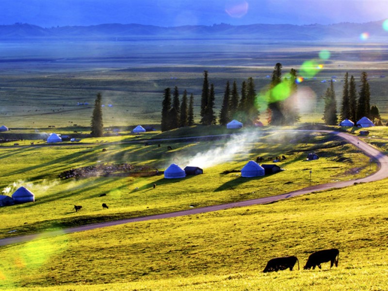 35061800000156vadEBDA_C_1600_1200