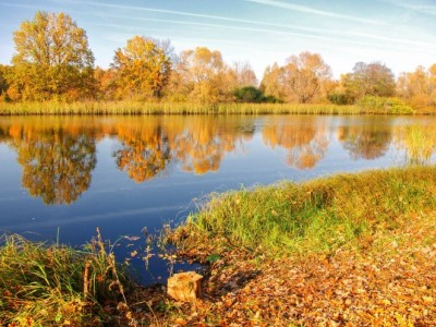 泽普金胡杨景区