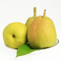 骄瑰 新疆库尔勒香梨全母梨大果当季整箱特级新鲜水果 特级单果120克大果 净重5斤